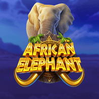 African Elephant thumbnail